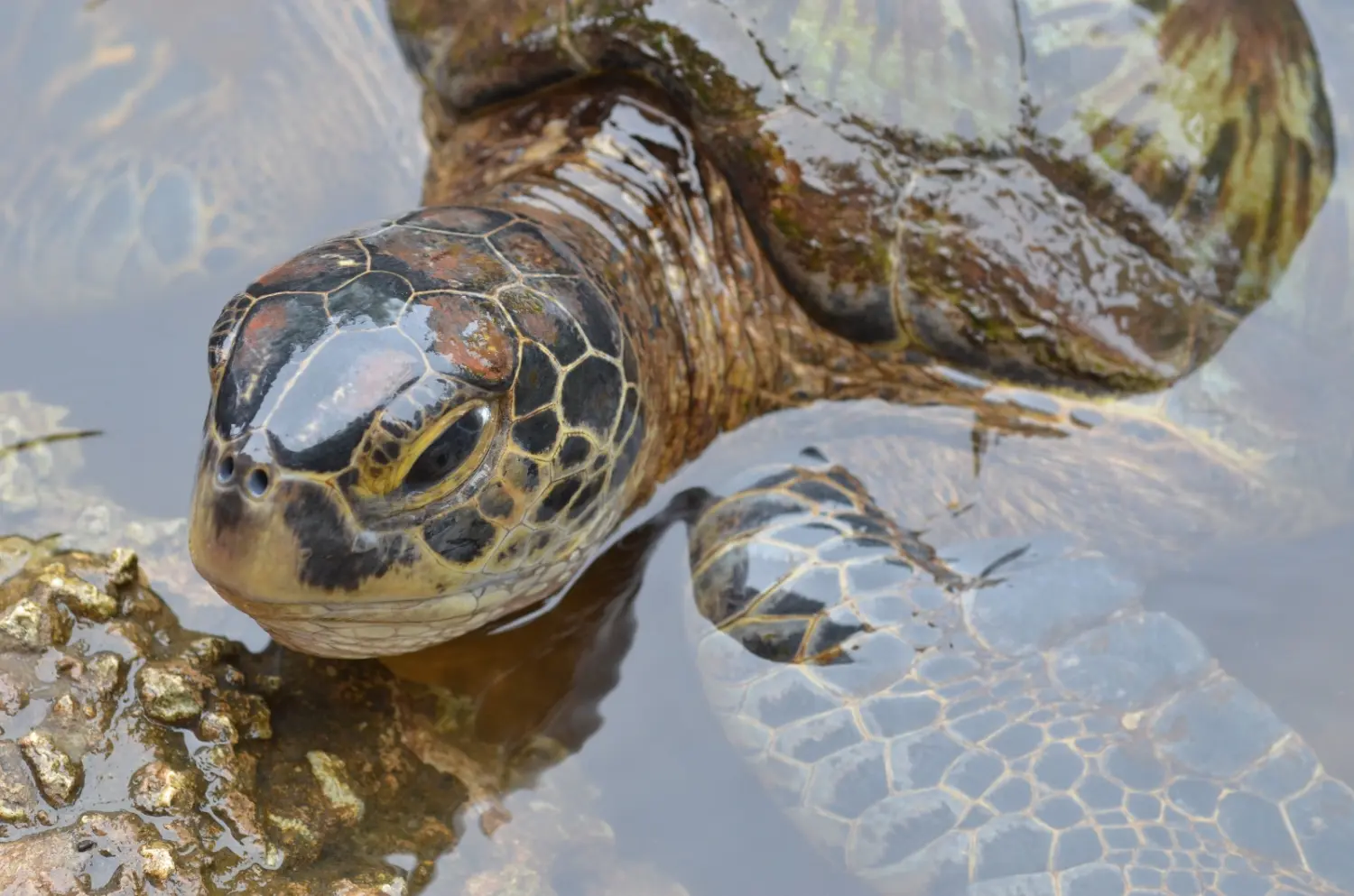 Ubireisen, Reisebüro, Calw
