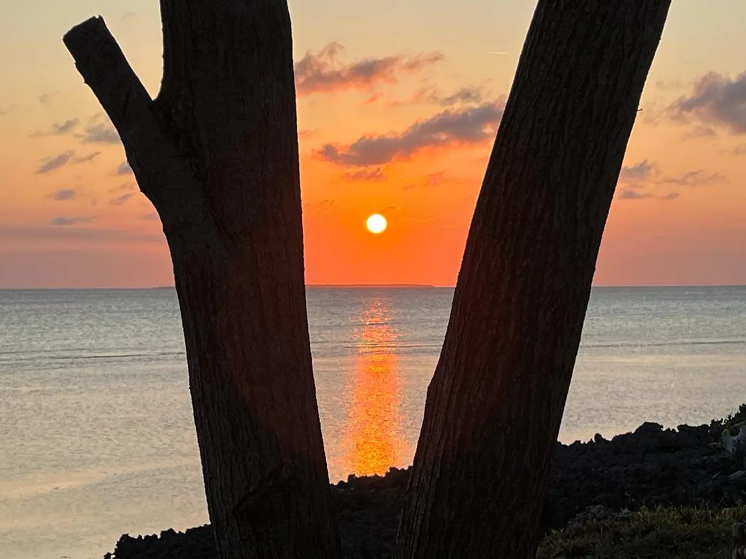 Individualisierte Reisen, Viajes personalizados, Custom travel 