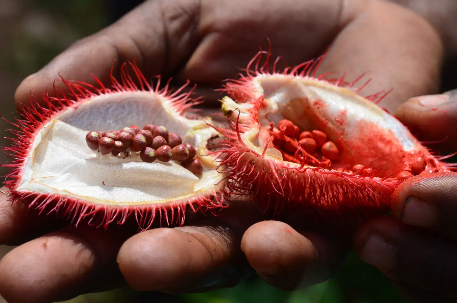 Ubireisen - Reisebüro - Zanzibar
