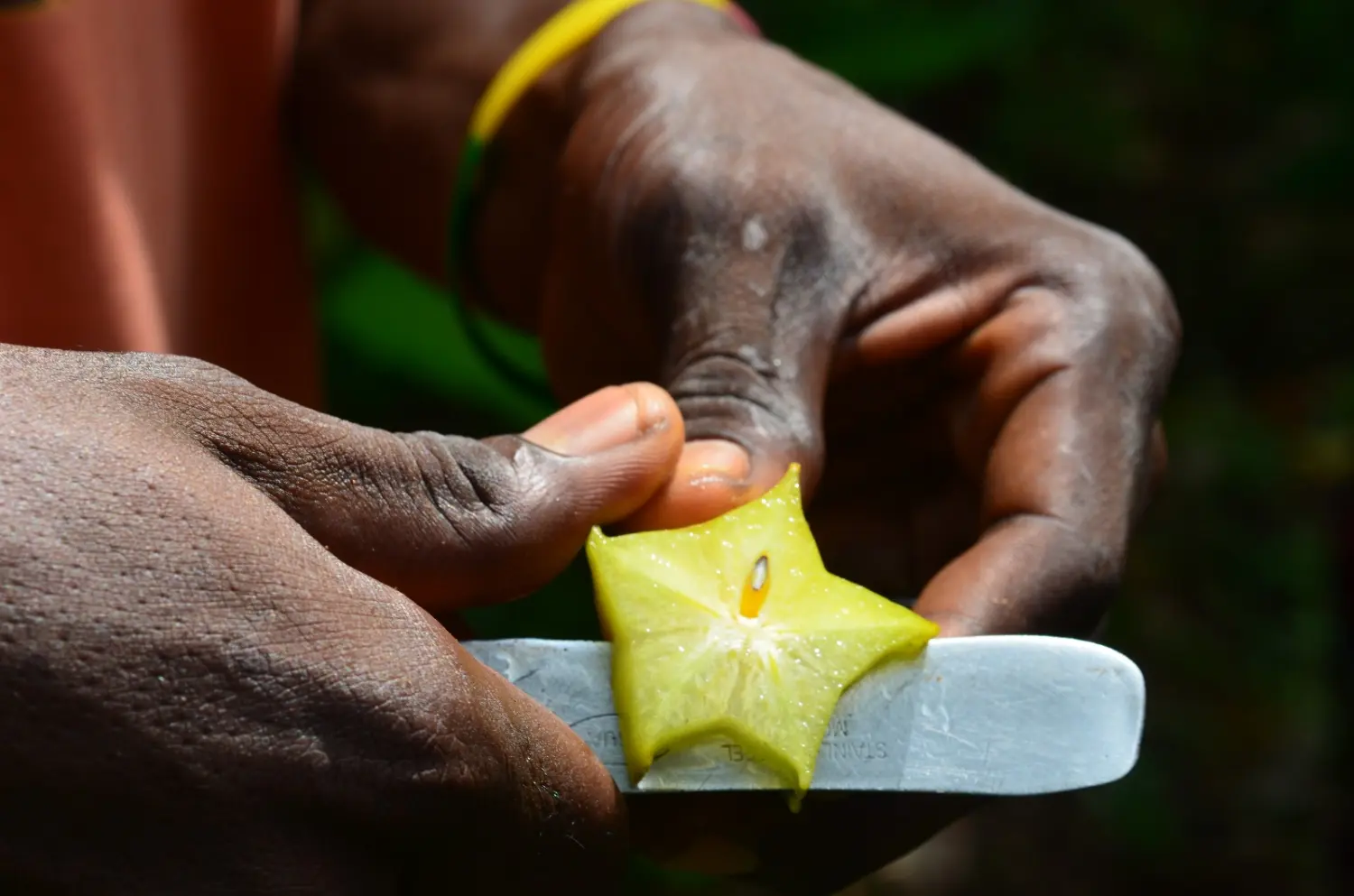 Last-Minute-Angebote, Ofertas de última hora, Last-minute deals 