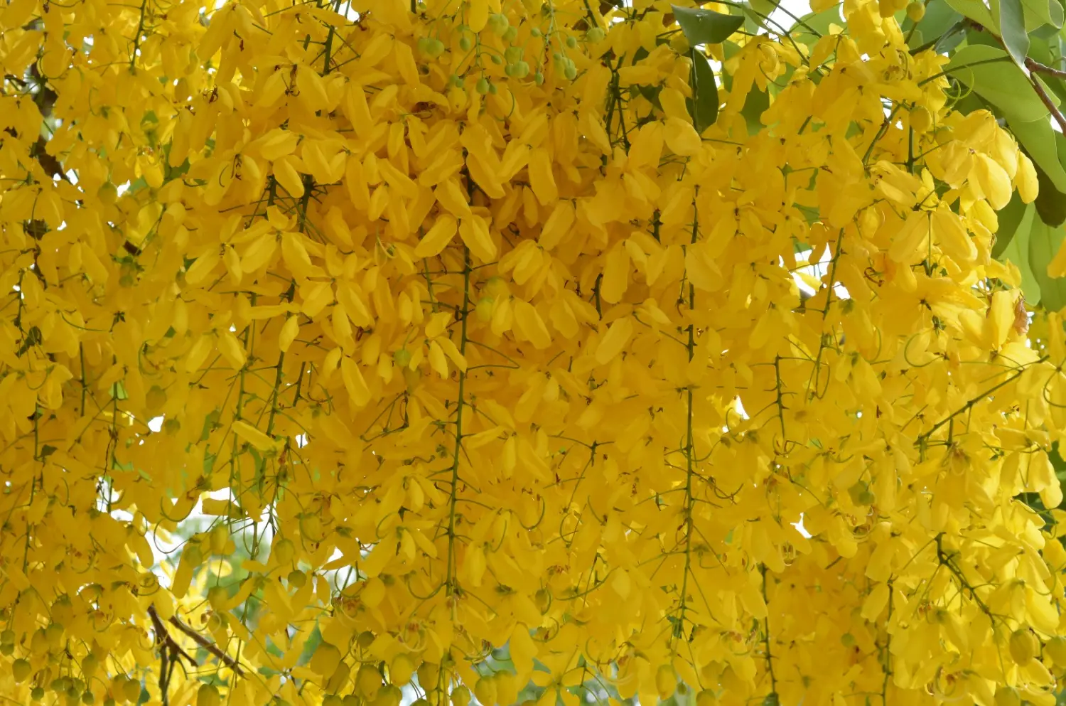 Last-Minute-Angebote, Ofertas de última hora, Last-minute deals 