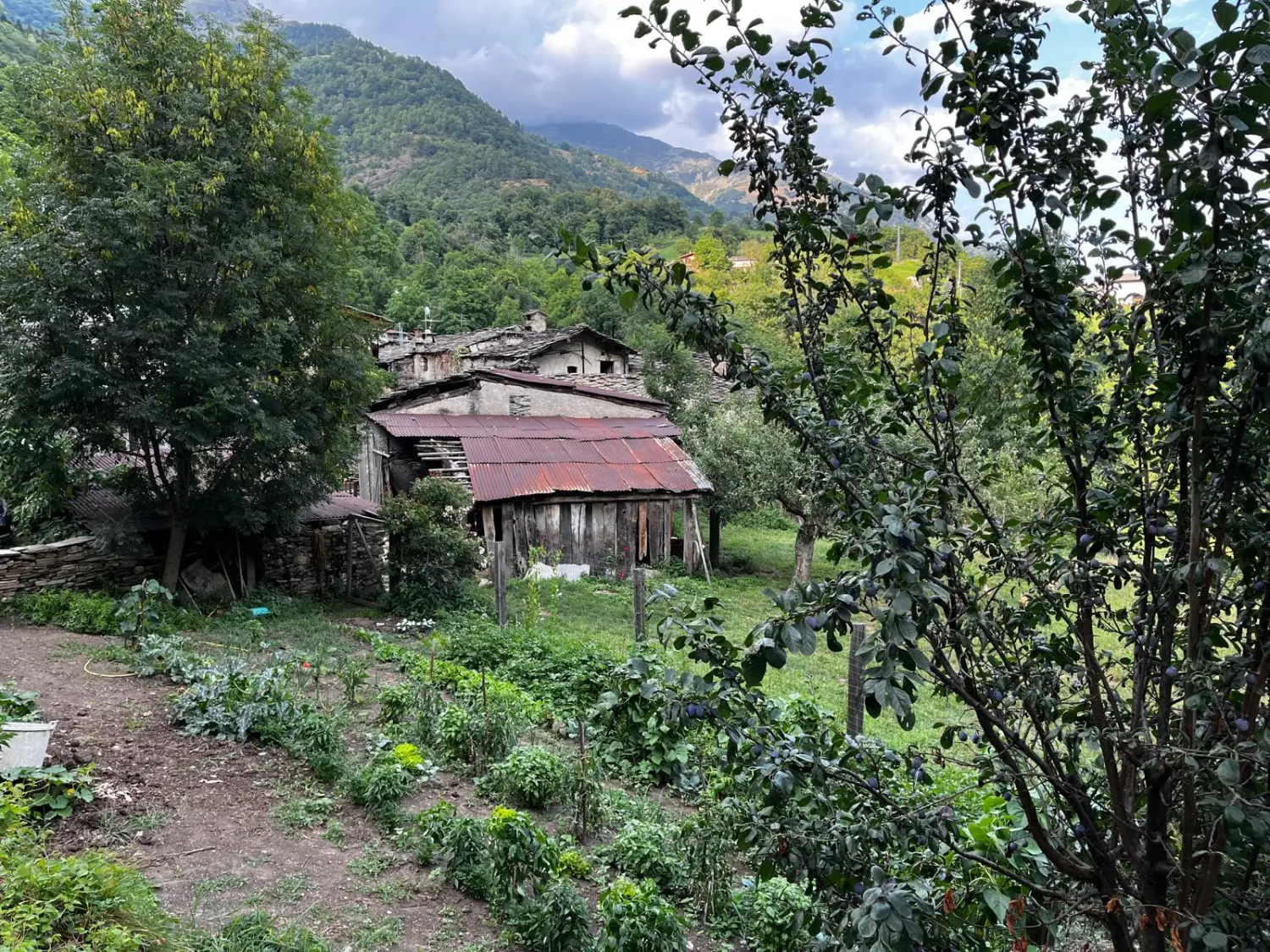 Familienurlaub / Vacaciones en familia / Family vacations