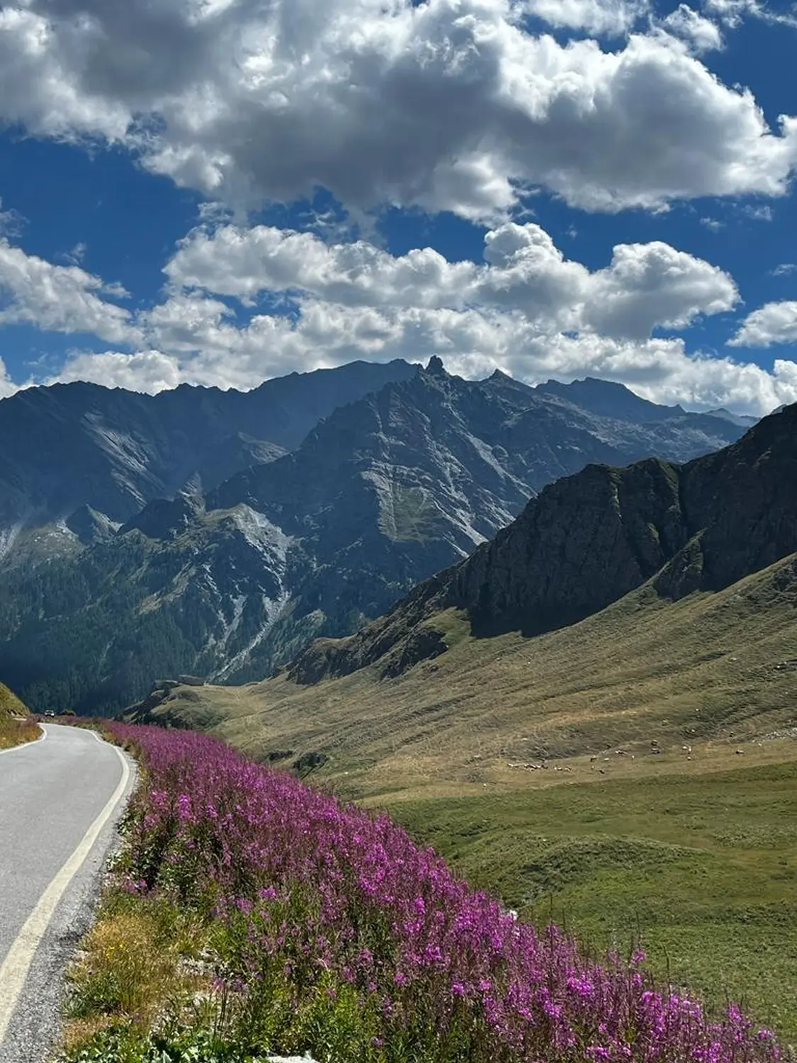 Individualisierte Reisen, Viajes personalizados, Custom travel 