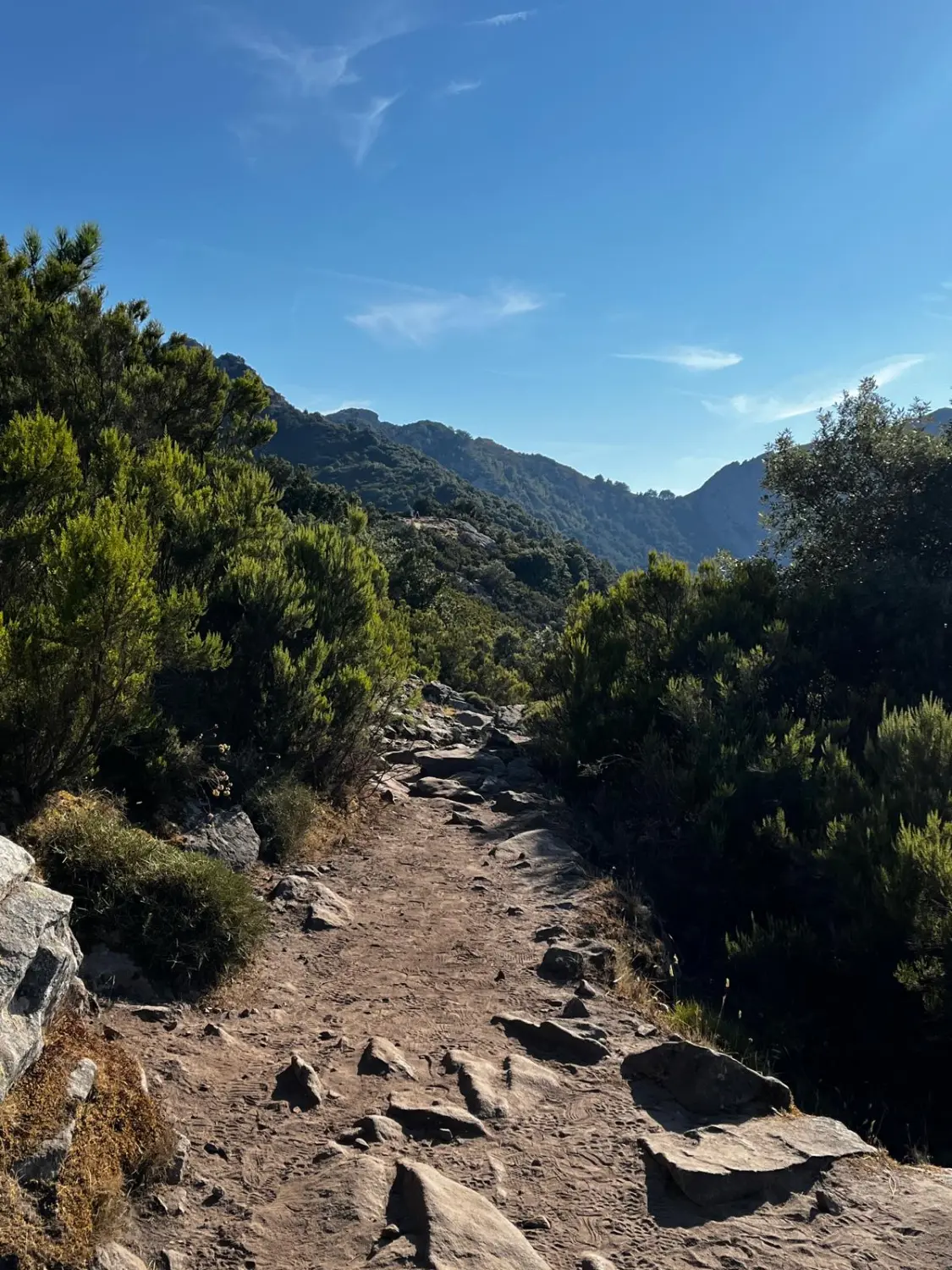 Ubireisen, Reisebüro, Calw