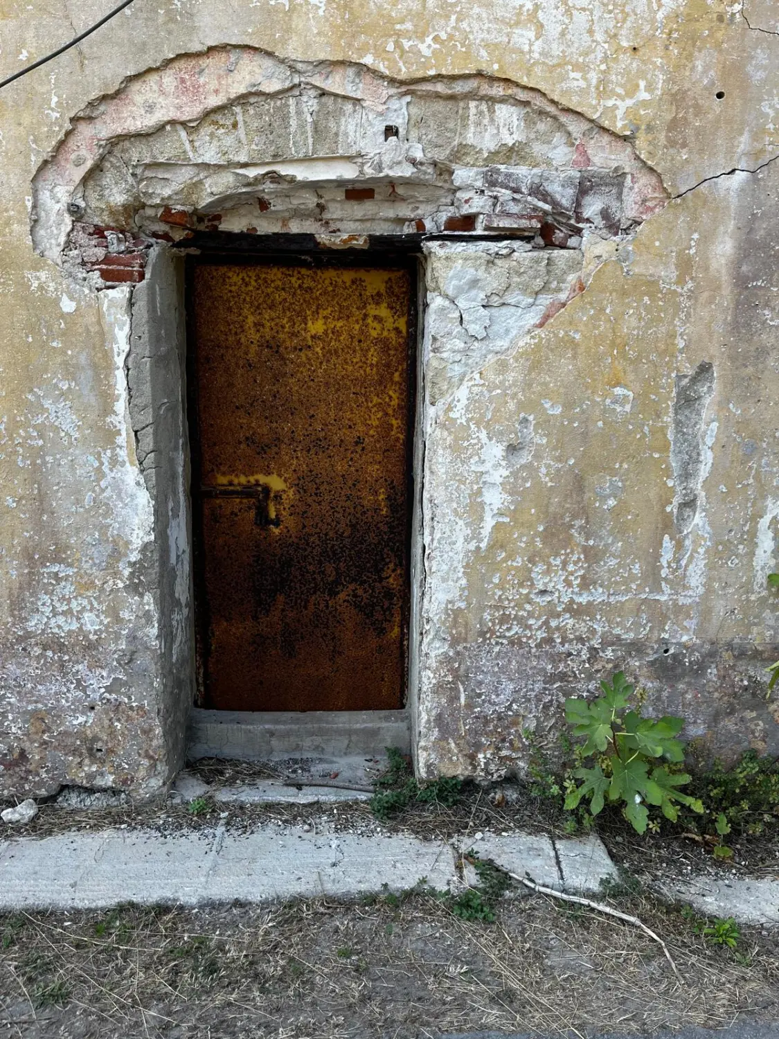 Ubireisen, Reisebüro, Calw