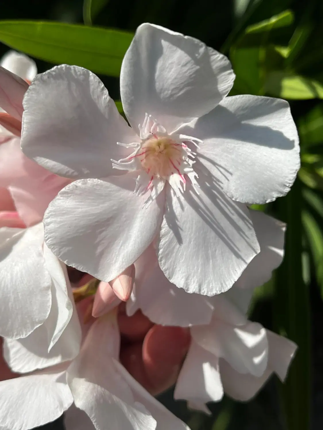  Urlaubsplanung, Planificación de vacaciones, Vacation planning 