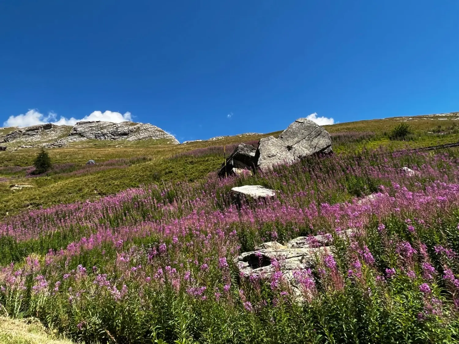 Hotels buchen, Reservar hoteles, Book hotels 