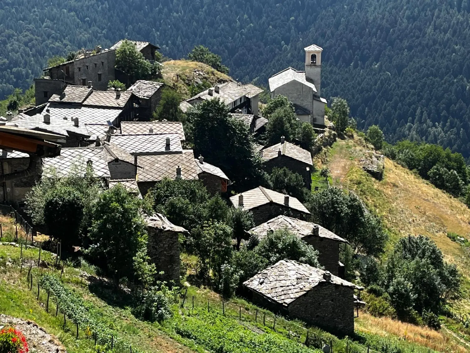 Last-Minute-Angebote, Ofertas de última hora, Last-minute deals 