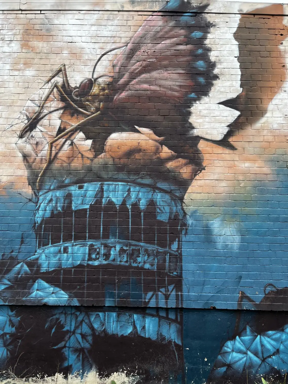 Kreuzfahrten, Cruceros, Cruises