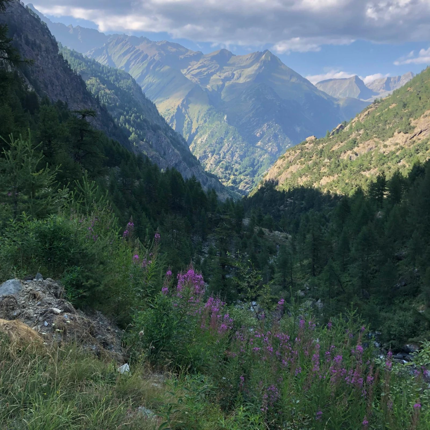 Netzwerken, Networking, Networking 