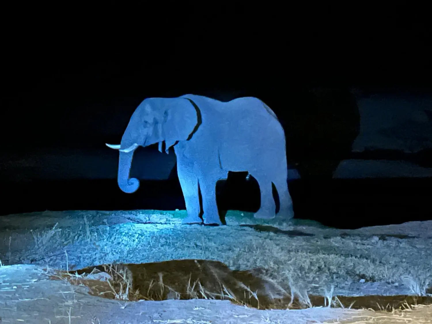 Individualisierte Reisen, Viajes personalizados, Custom travel 