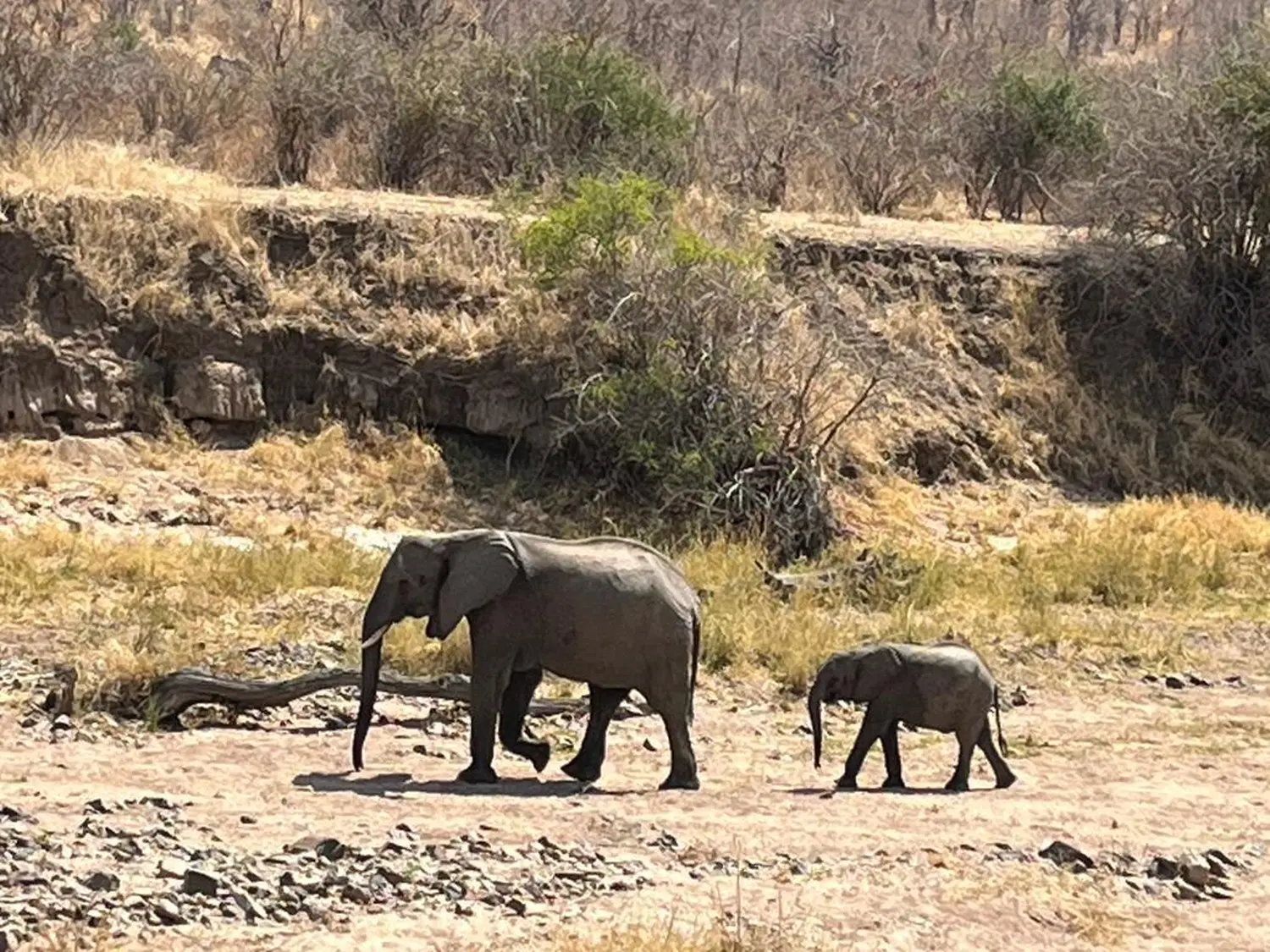 Ubireisen, Reisebüro, Calw