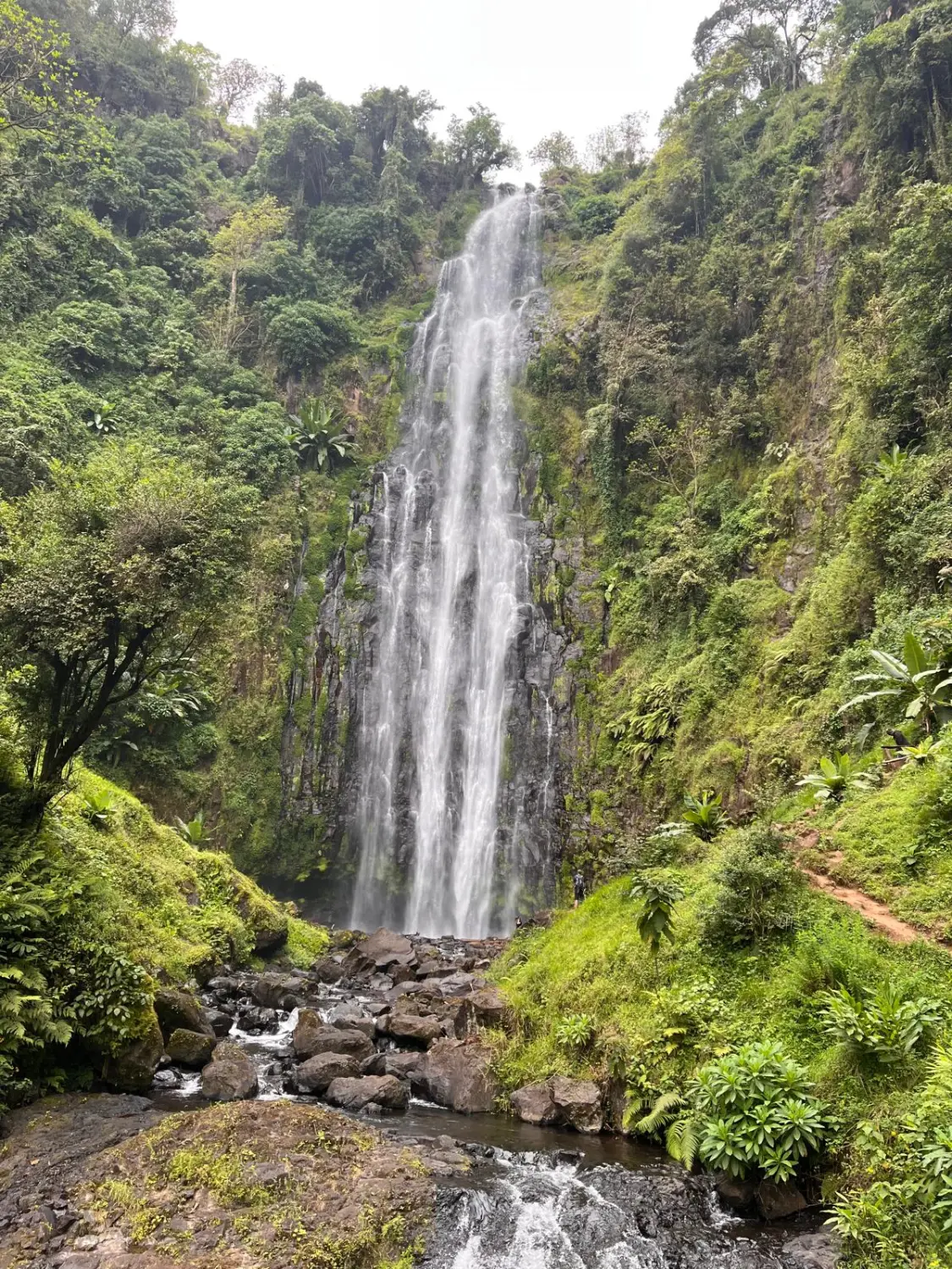 Last-Minute-Angebote, Ofertas de última hora, Last-minute deals 