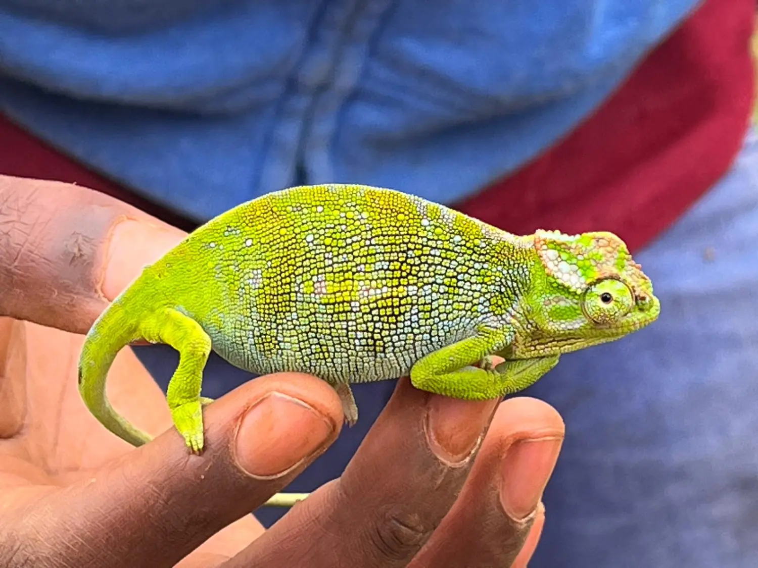 Last-Minute-Angebote, Ofertas de última hora, Last-minute deals 