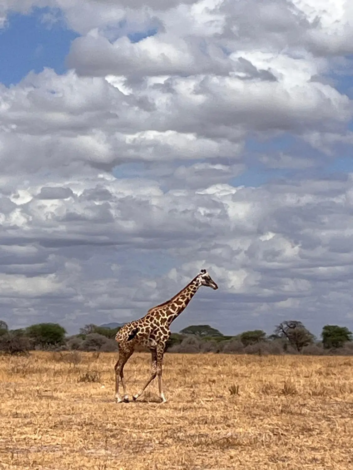 Last-Minute-Angebote, Ofertas de última hora, Last-minute deals 