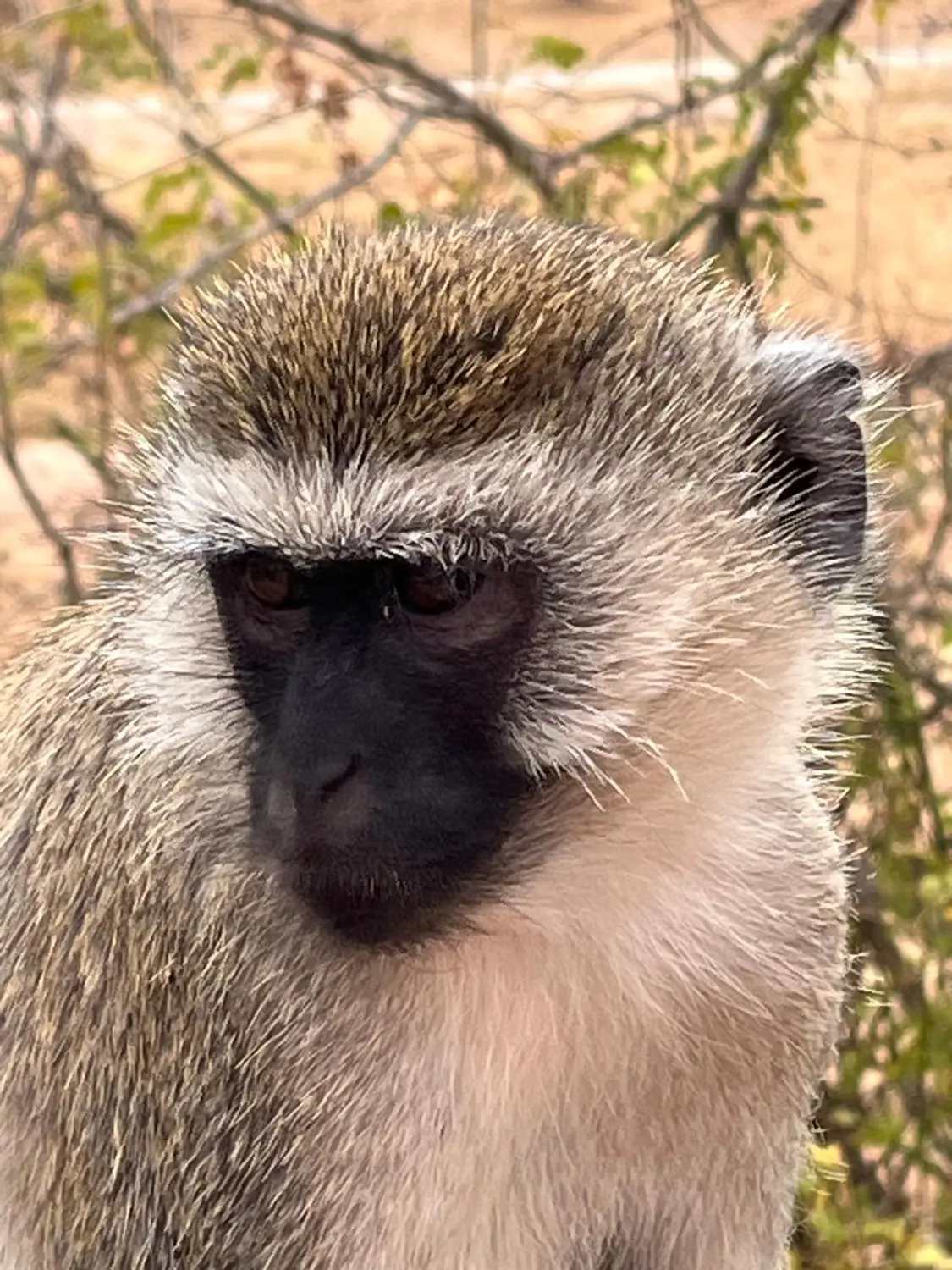 Reiseinspiration, Inspiración de viajes, Travel inspiration 