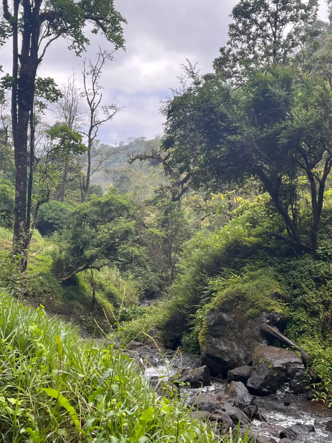 Netzwerken, Networking, Networking 