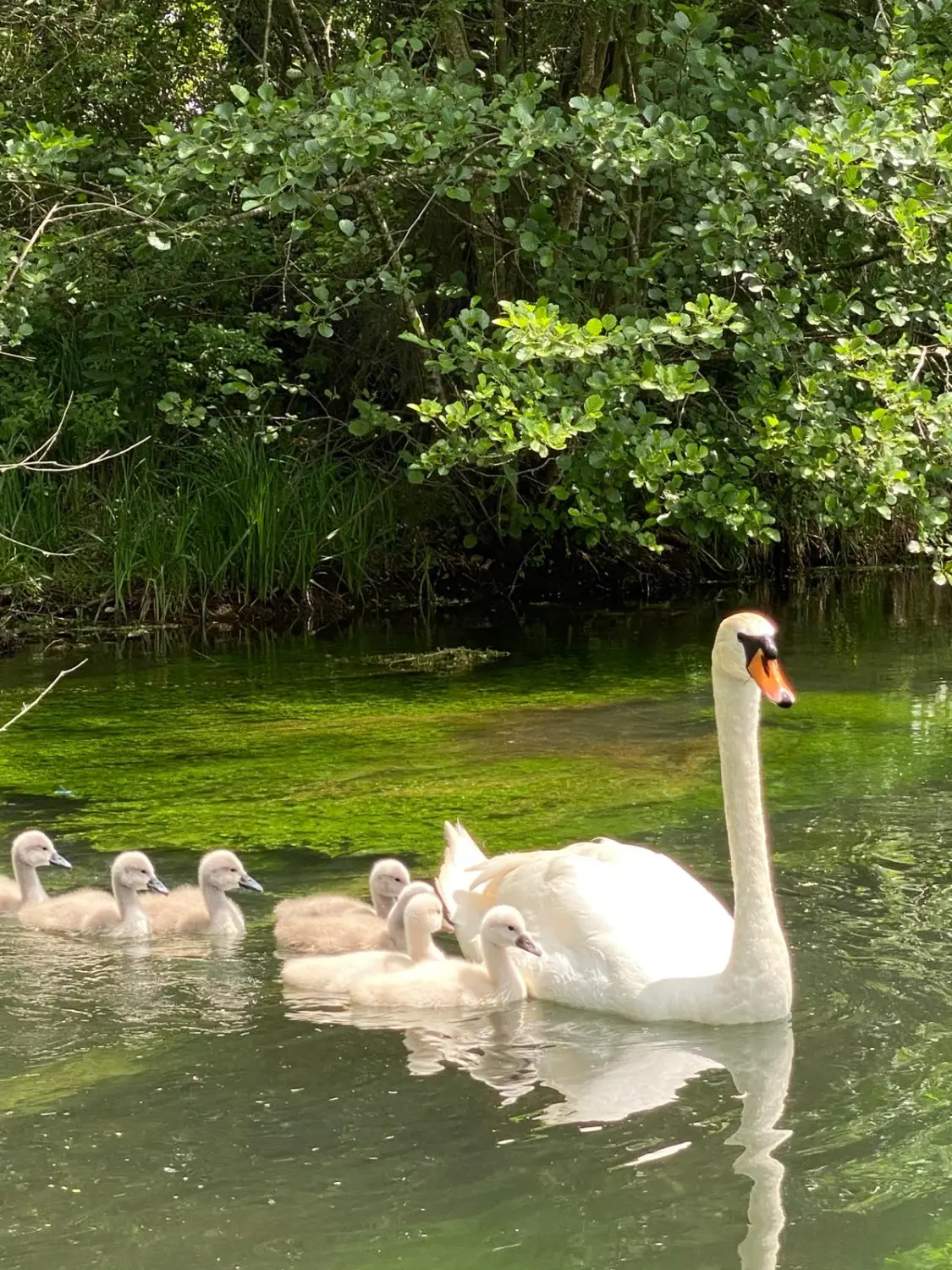 Reiseinspiration, Inspiración de viajes, Travel inspiration 