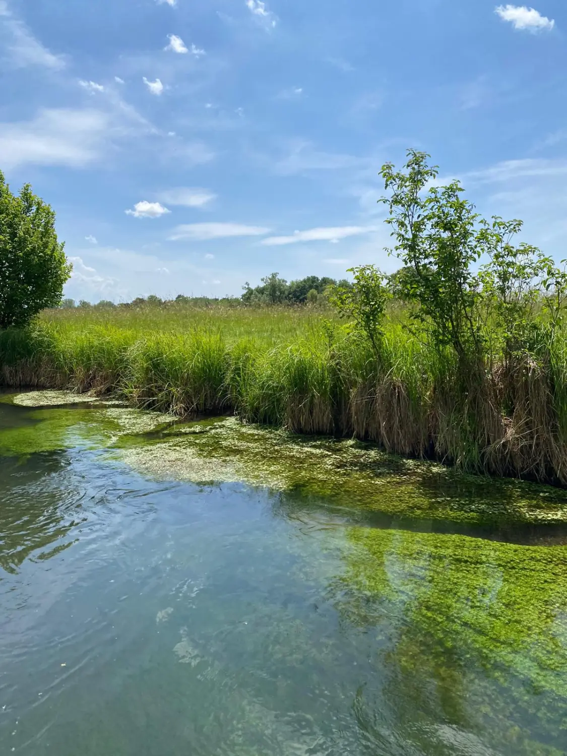Urlaubsplanung, Planificación de vacaciones, Vacation planning 