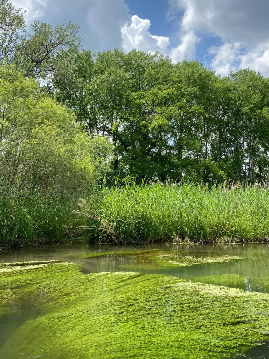 Familienurlaub / Vacaciones en familia / Family vacations