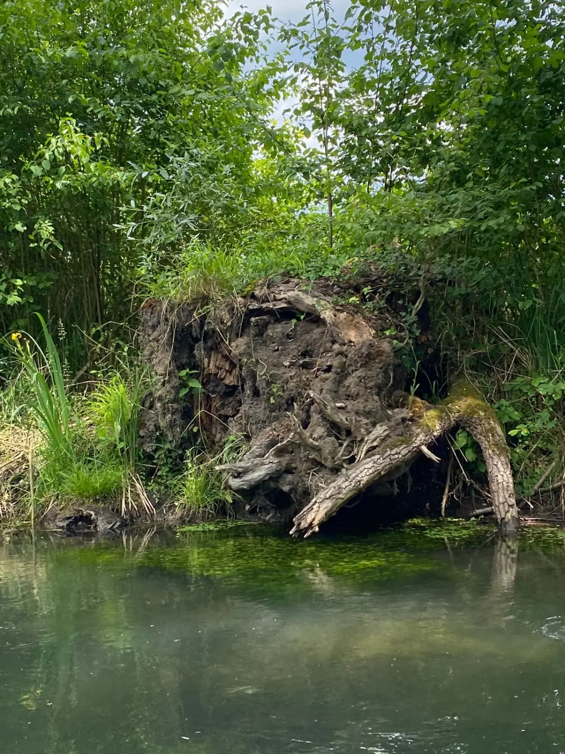 Urlaubsplanung, Planificación de vacaciones, Vacation planning 