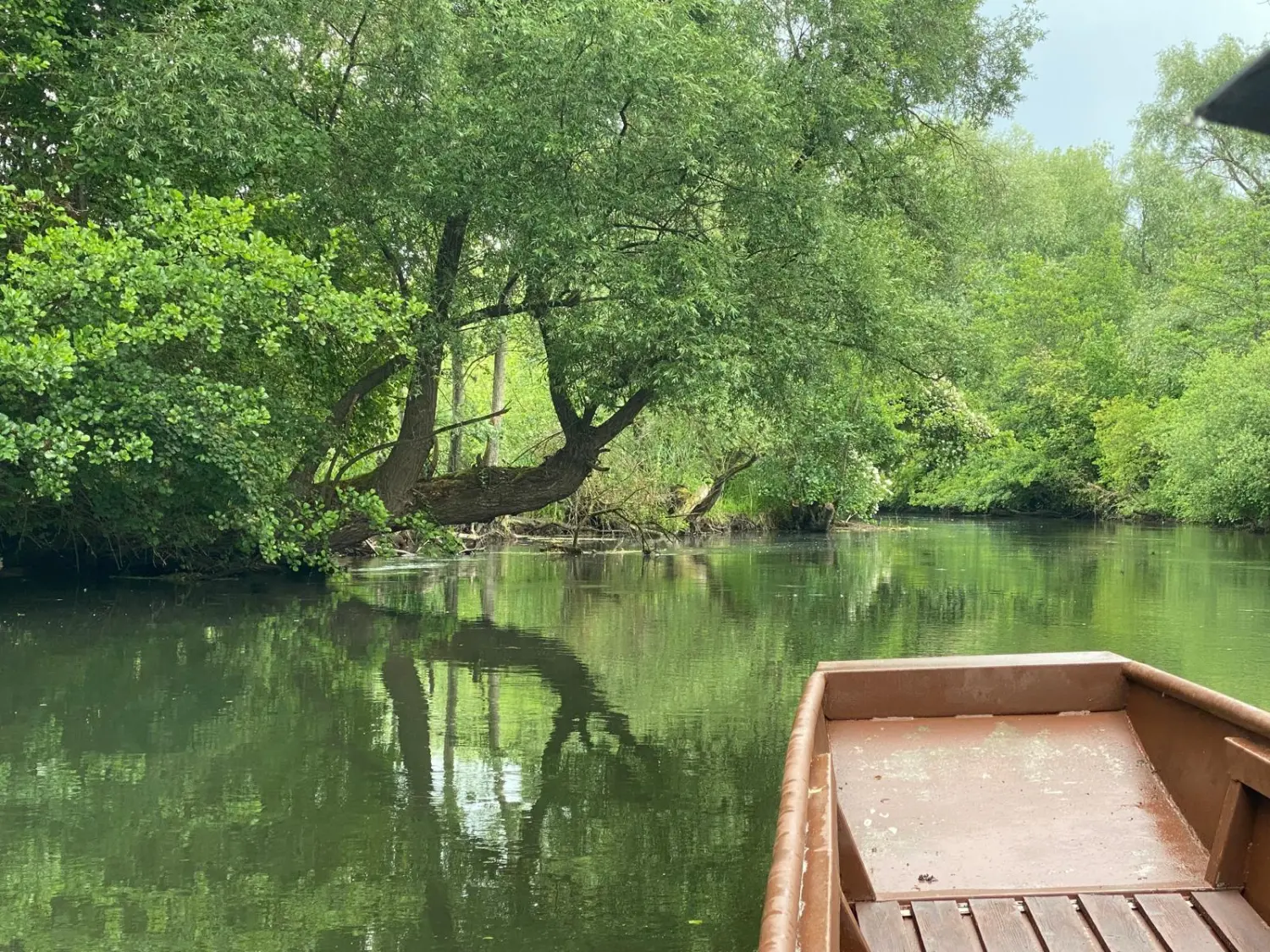 Urlaubsplanung, Planificación de vacaciones, Vacation planning 