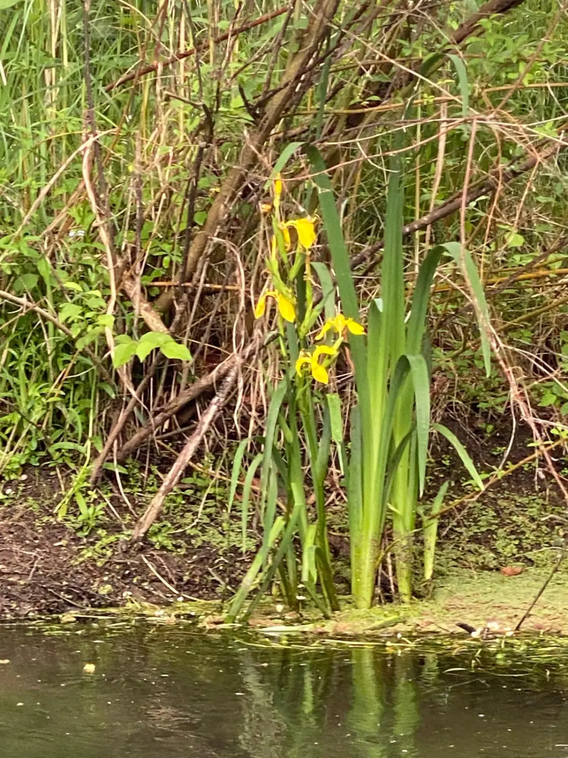 Familienurlaub / Vacaciones en familia / Family vacations