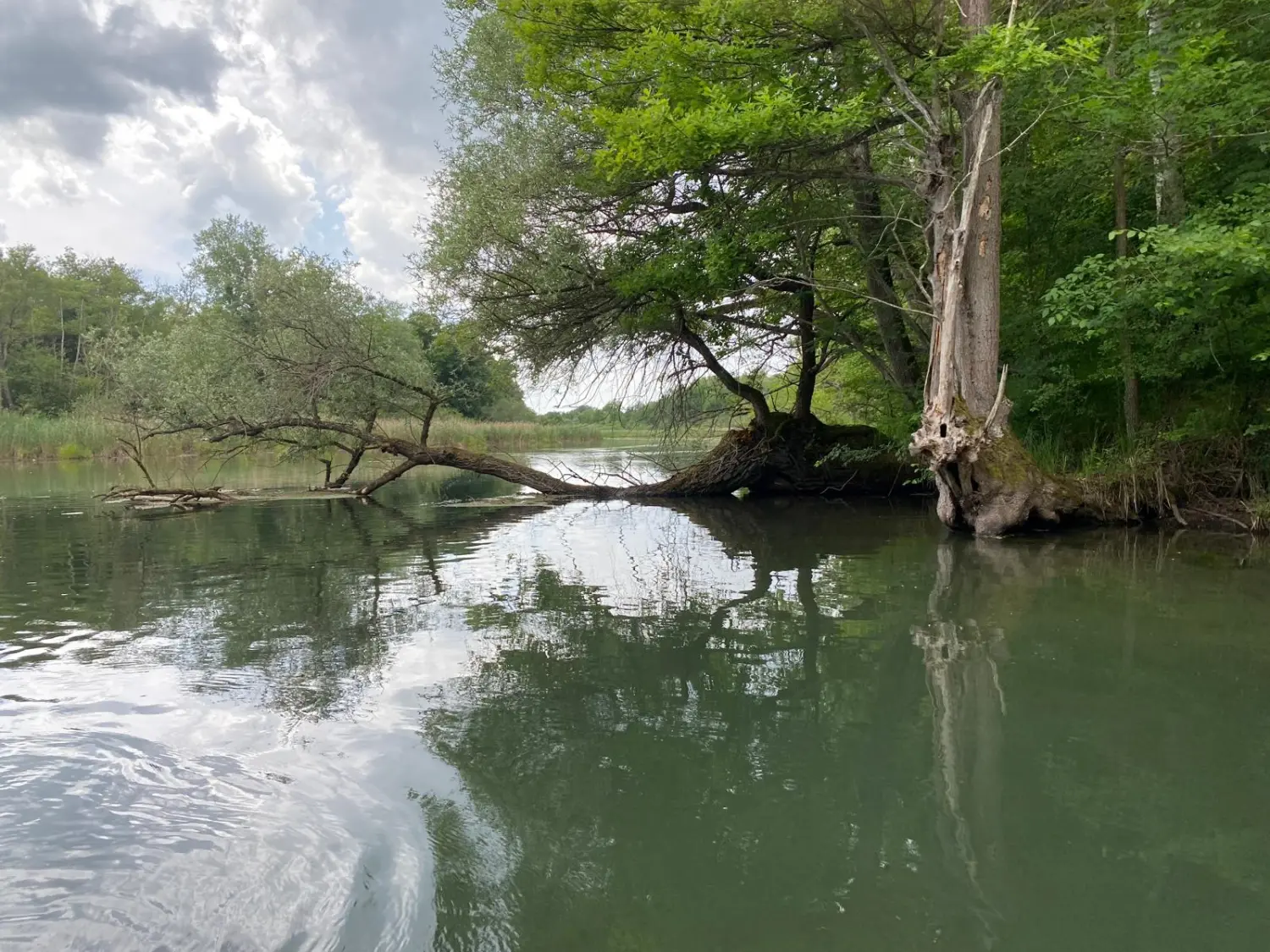 Familienurlaub / Vacaciones en familia / Family vacations