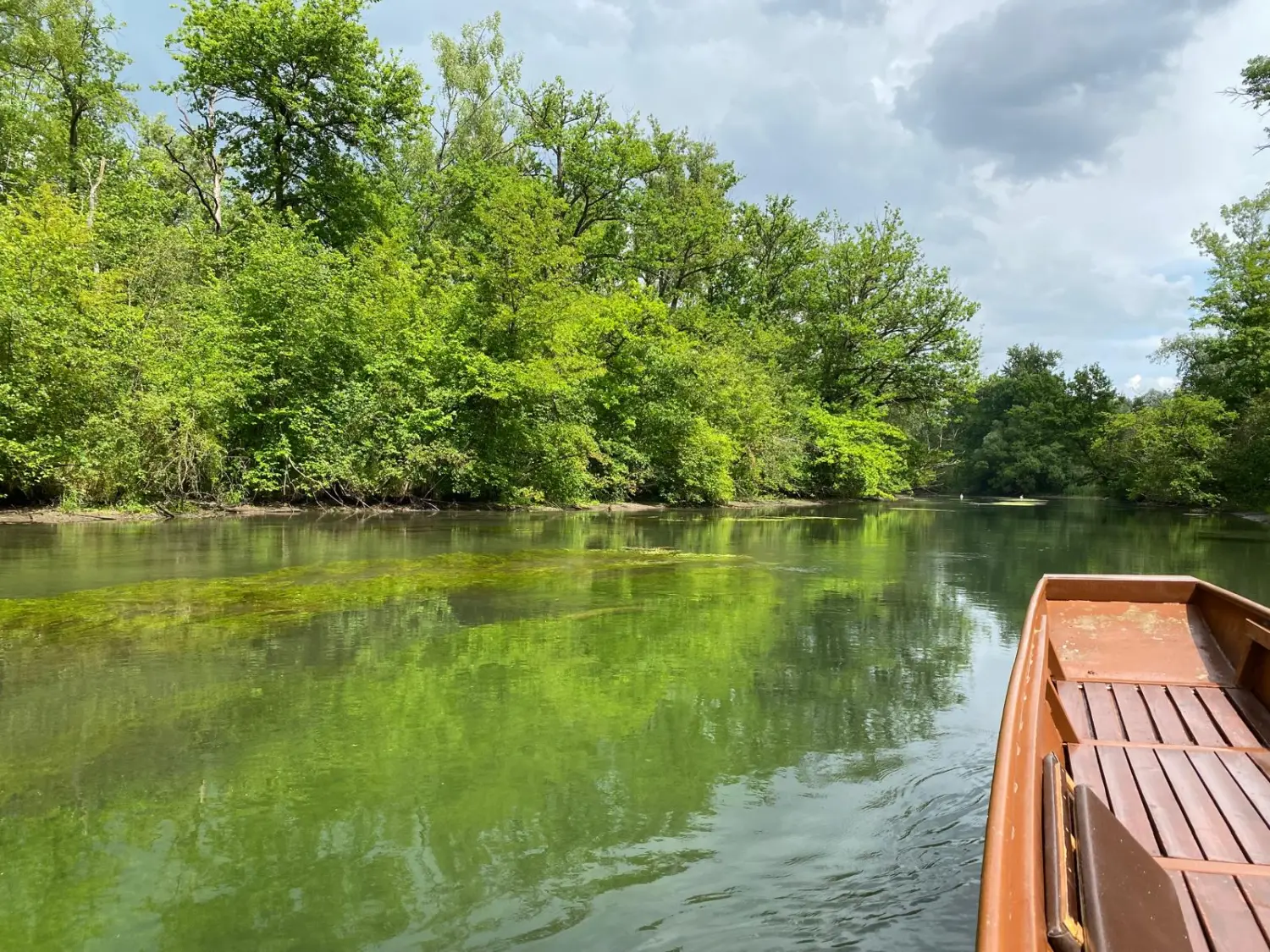 Individualisierte Reisen, Viajes personalizados, Custom travel 