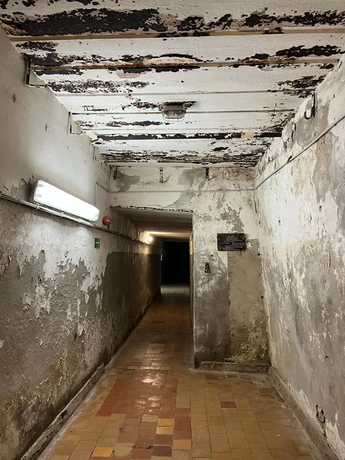 Last-Minute-Angebote, Ofertas de última hora, Last-minute deals 