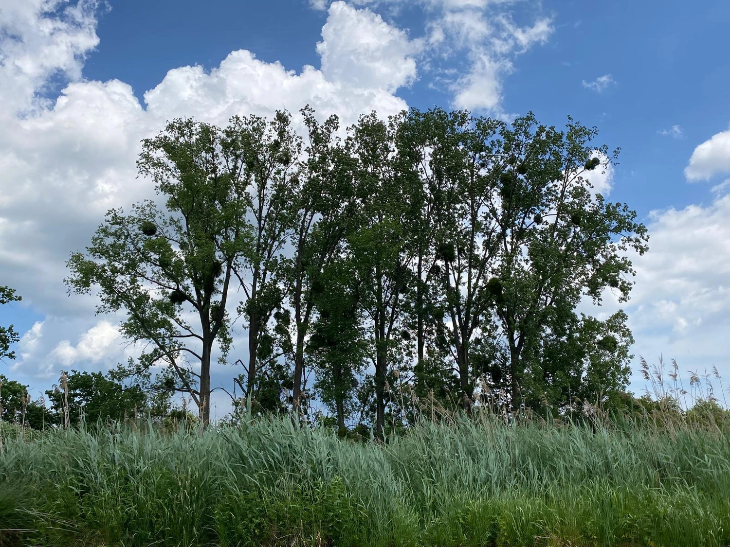 Individualisierte Reisen, Viajes personalizados, Custom travel 